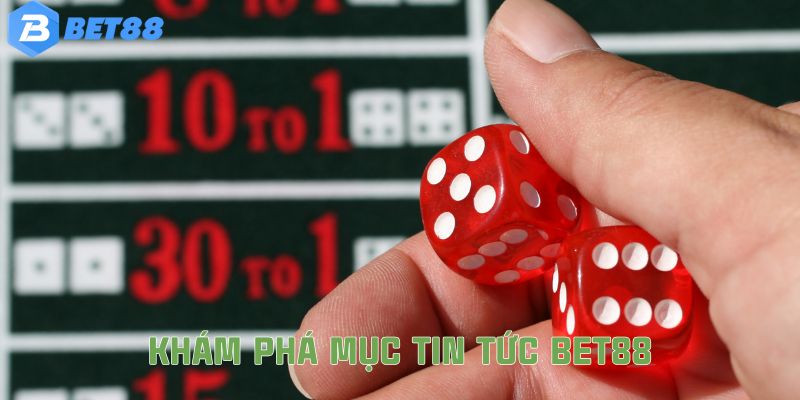 Các thông tin quan trọng mà nhà cái cung cấp là gì