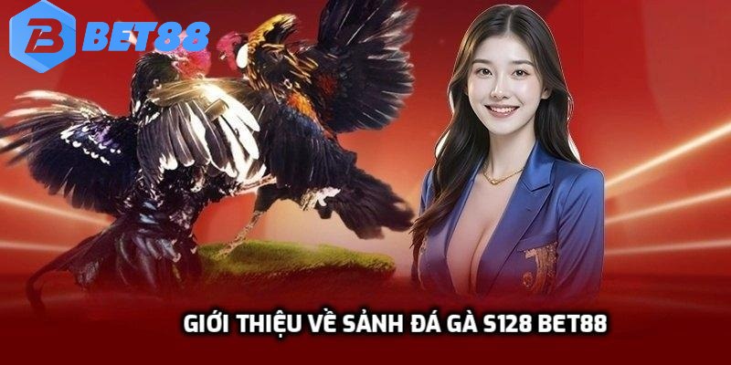 Giới thiệu tổng quan về sảnh đá gà S128 Bet88
