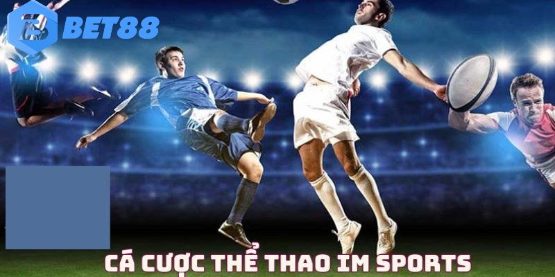 IM sports bet88 và những thông tin thú vị