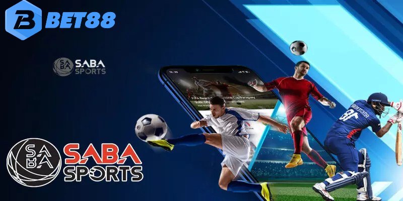 Một vài thông tin về sảnh Saba thể thao tại sân chơi