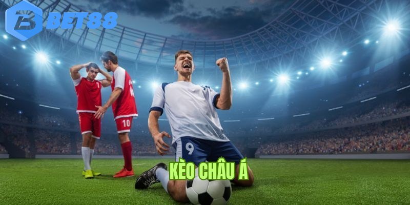 Phân loại kèo này giúp hiểu rõ sức mạnh