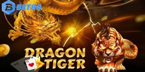 rồng hổ bet88