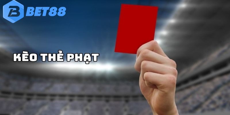 Thông tin cơ bản cần nắm
