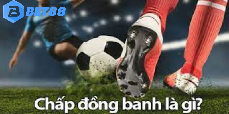 Tìm hiểu thông tin chung về đồng banh là gì