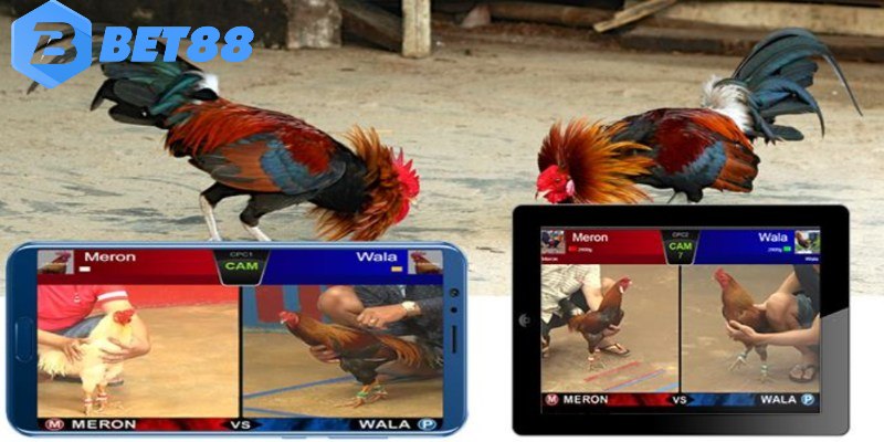 Tỷ lệ cược linh hoạt tại Ws168 Bet88
